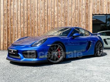 PORSCHE CAYMAN 2 TYPE 981 GT4 (981) GT4