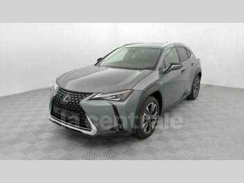 LEXUS 